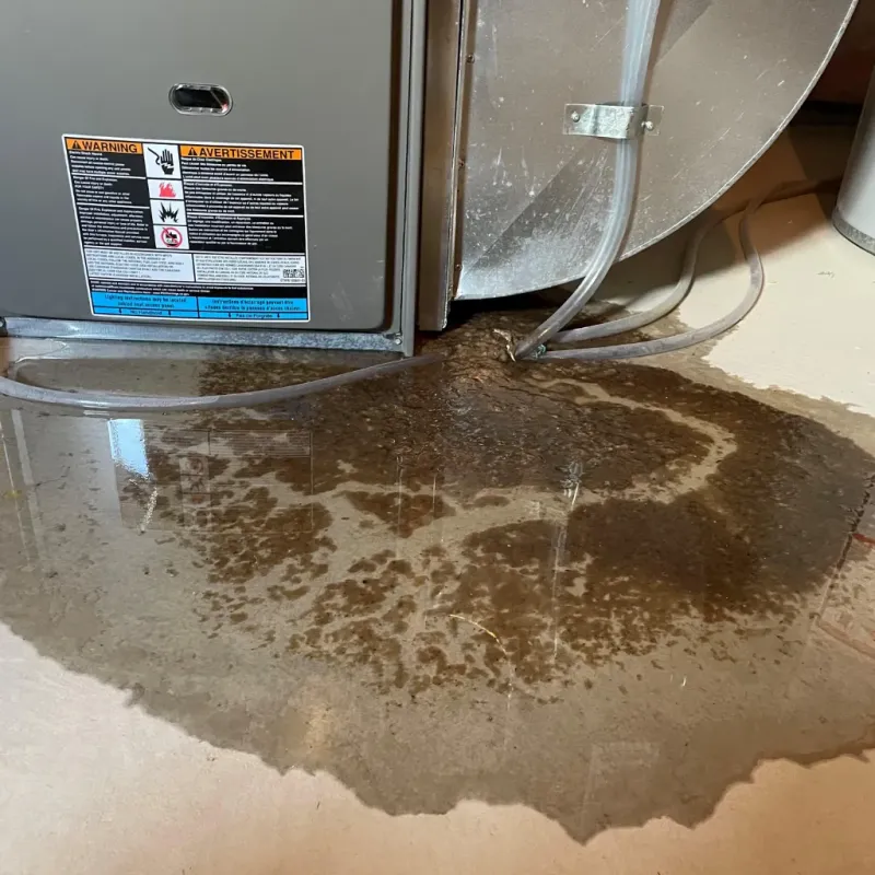 Appliance Leak Cleanup in Earlington, KY