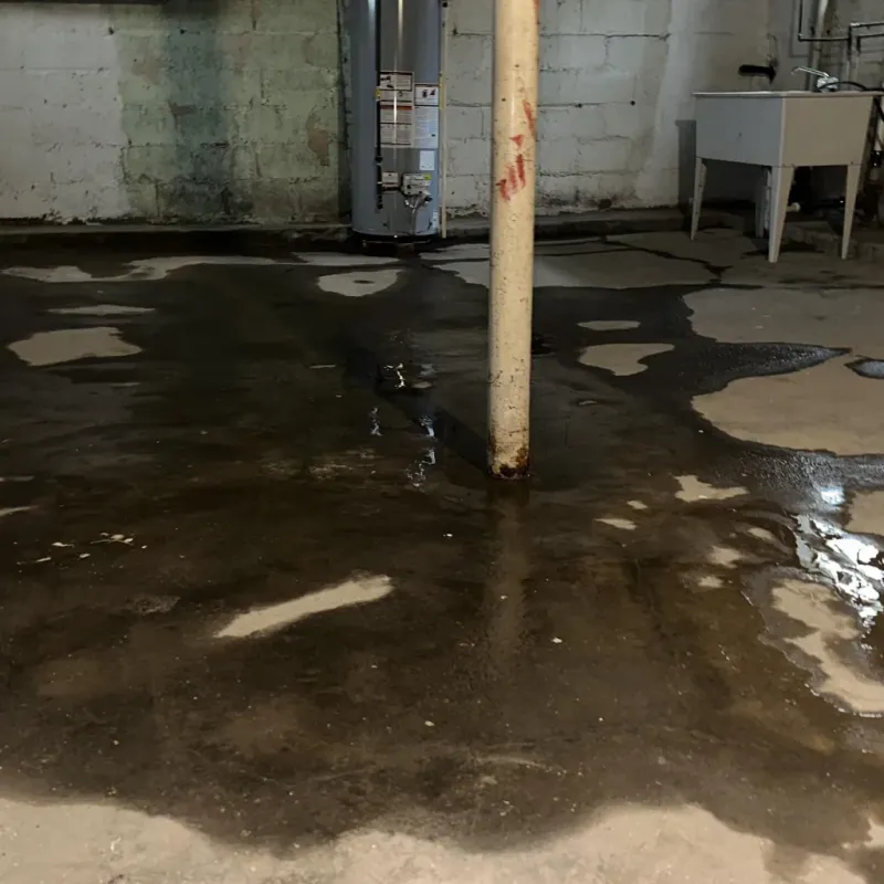 Emergency Water Extraction And Removal in Earlington, KY